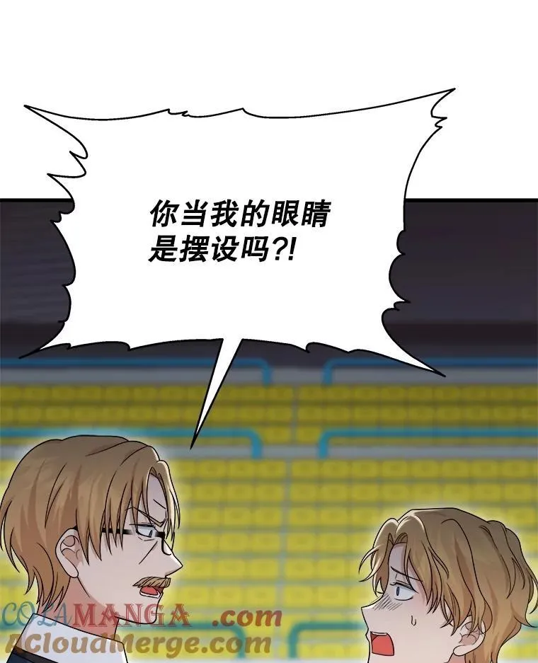 13.择主的矿物 第13页