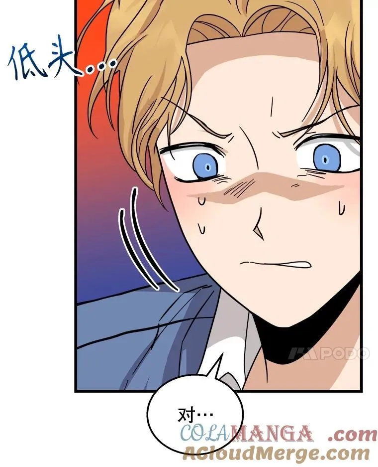 13.择主的矿物 第17页