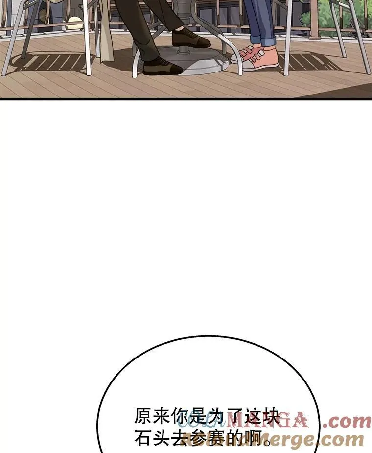 13.择主的矿物 第57页