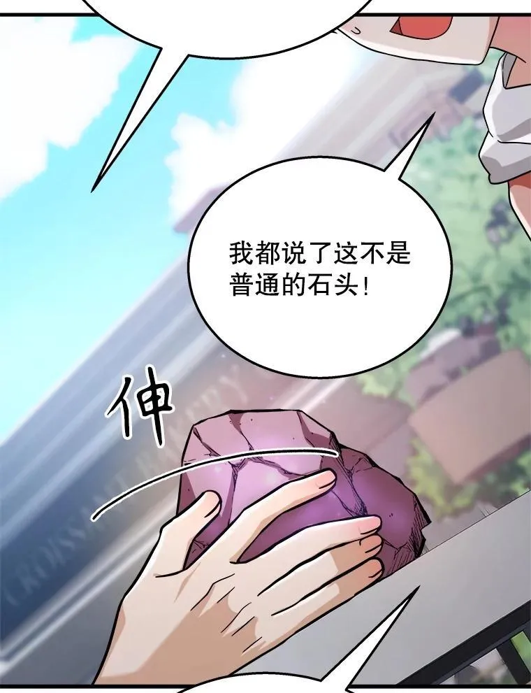 13.择主的矿物 第74页