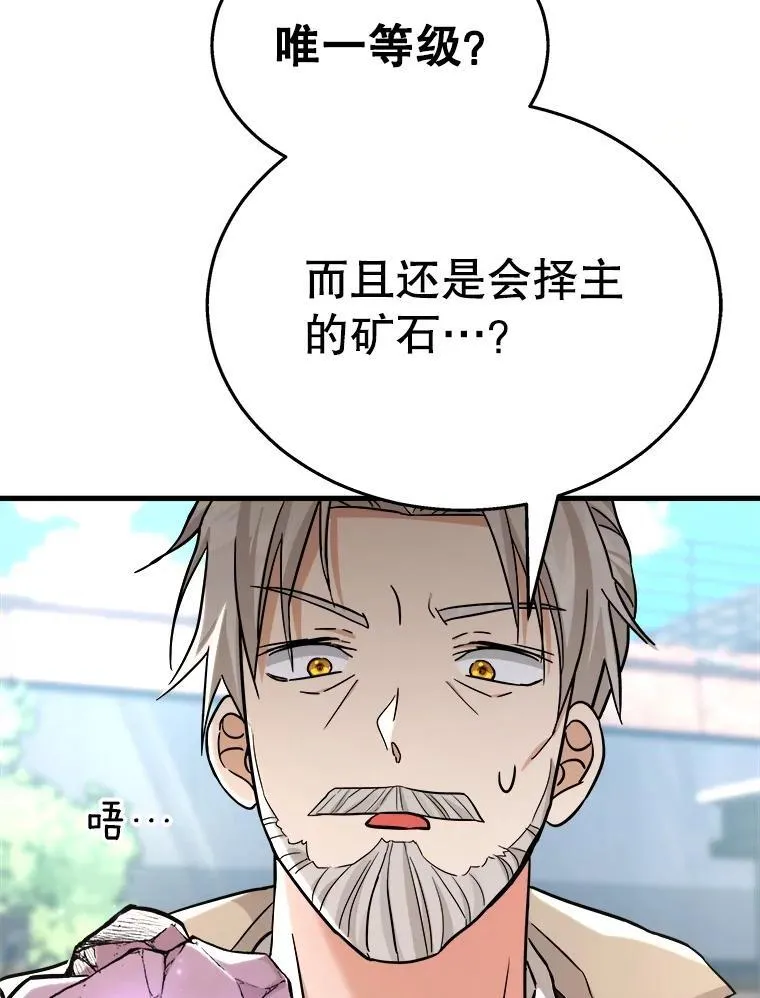 13.择主的矿物 第91页