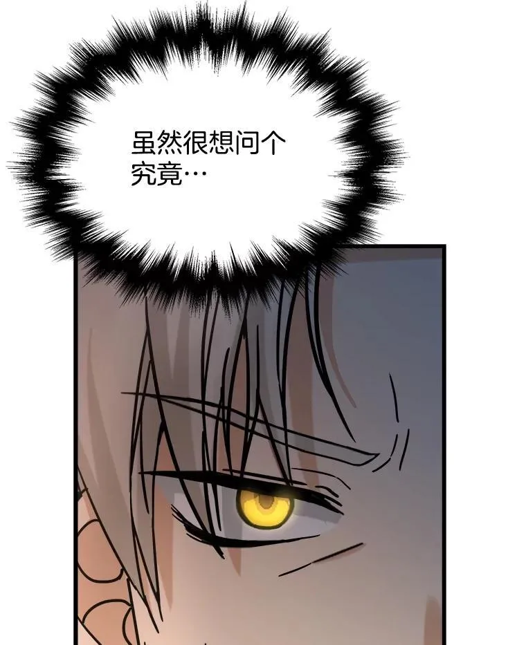 13.择主的矿物 第94页