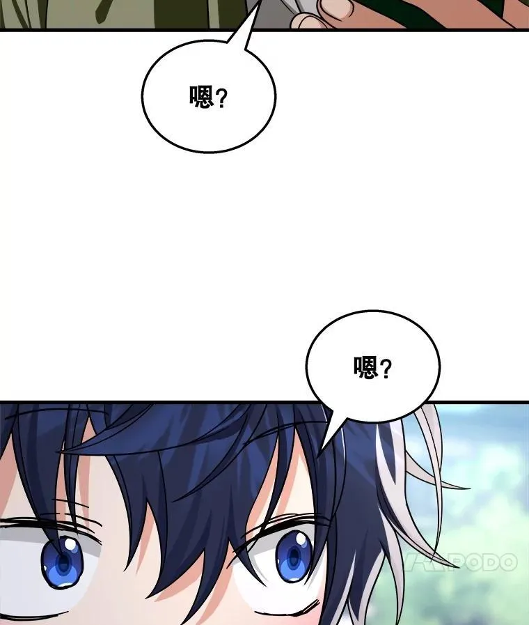 13.择主的矿物 第123页