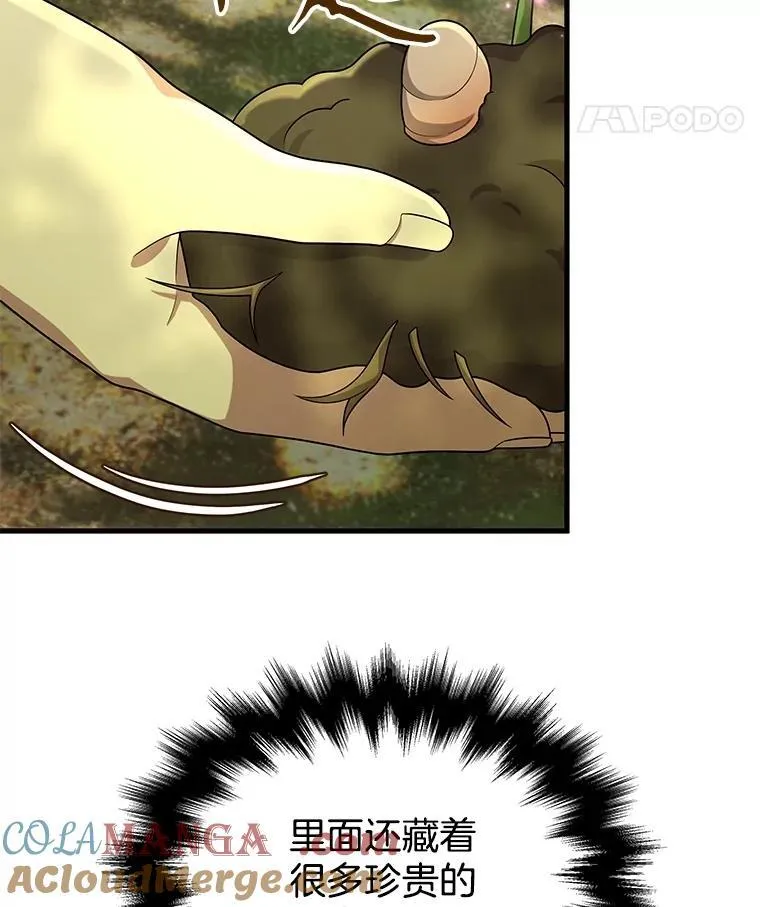 47.被推入宝地 第61页