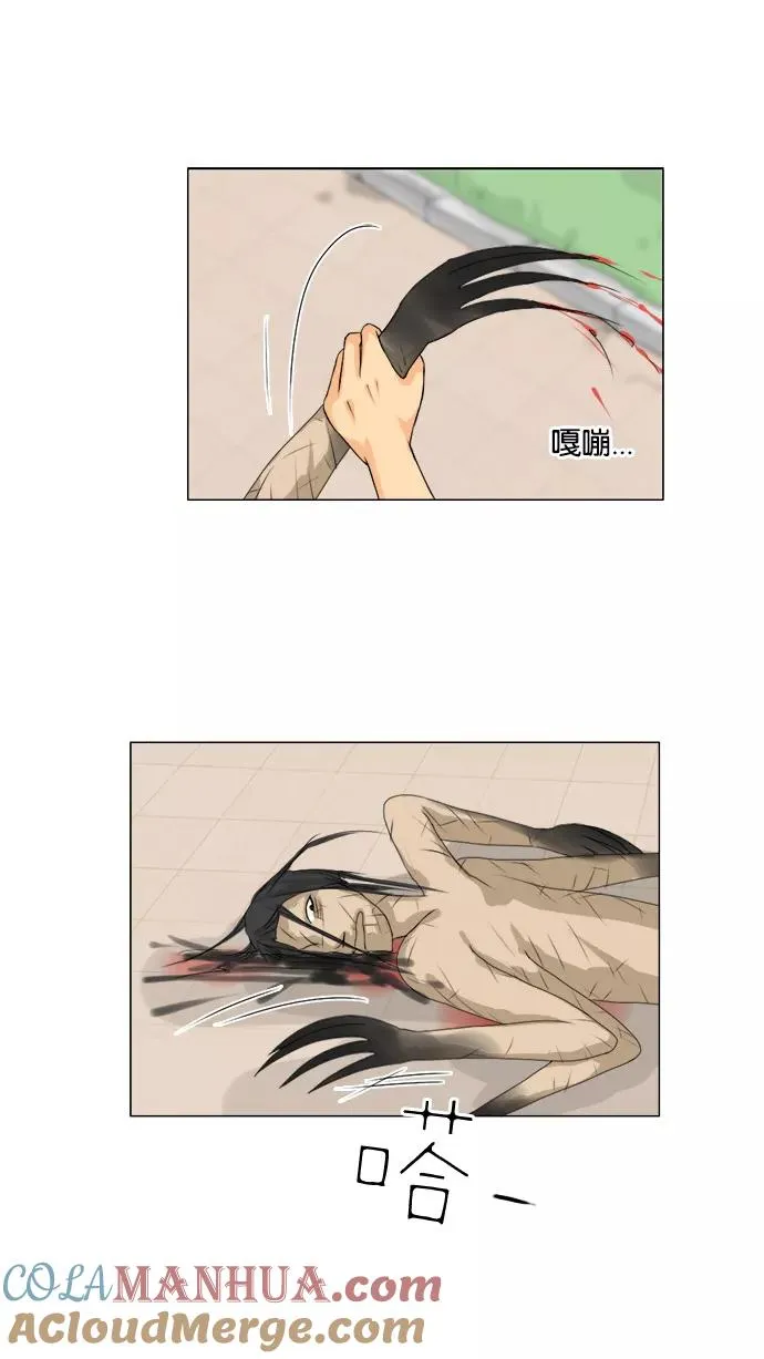 第47话 第19页