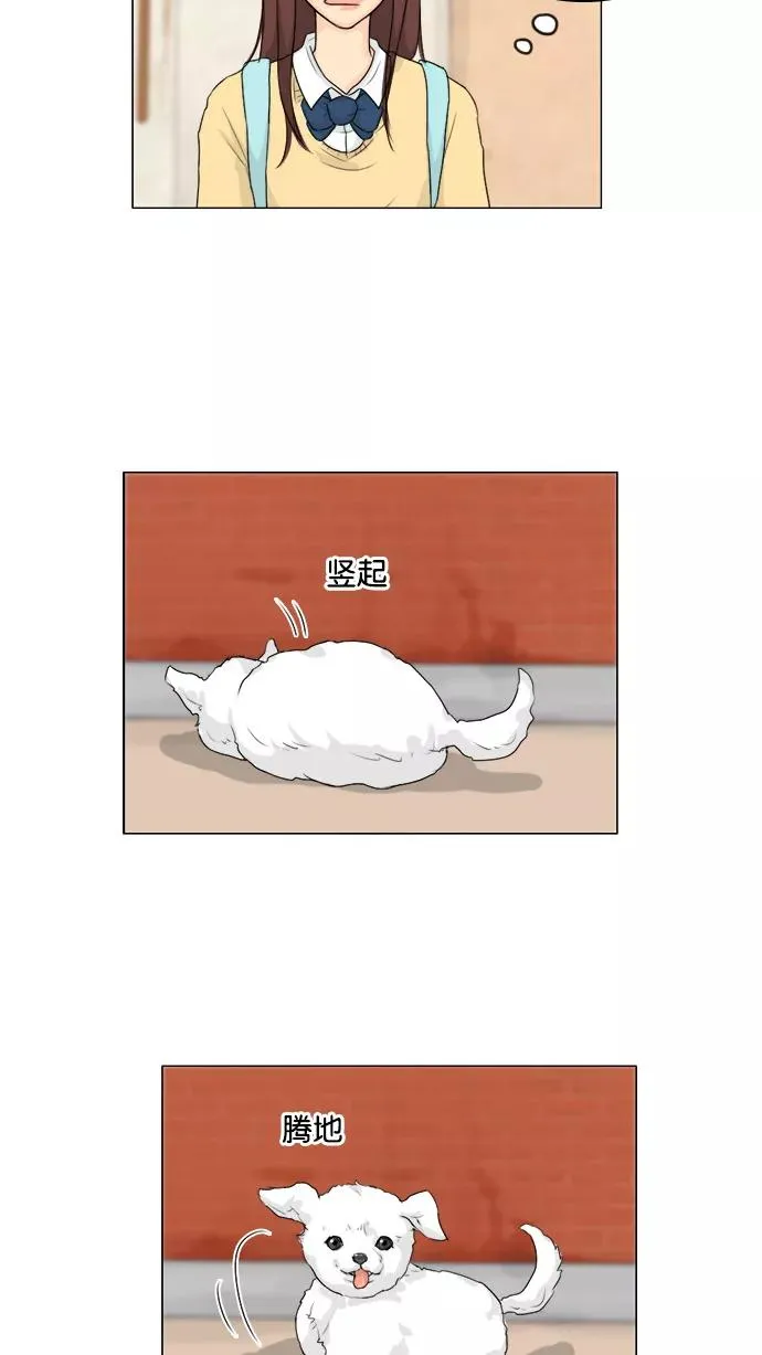 第101话 第29页