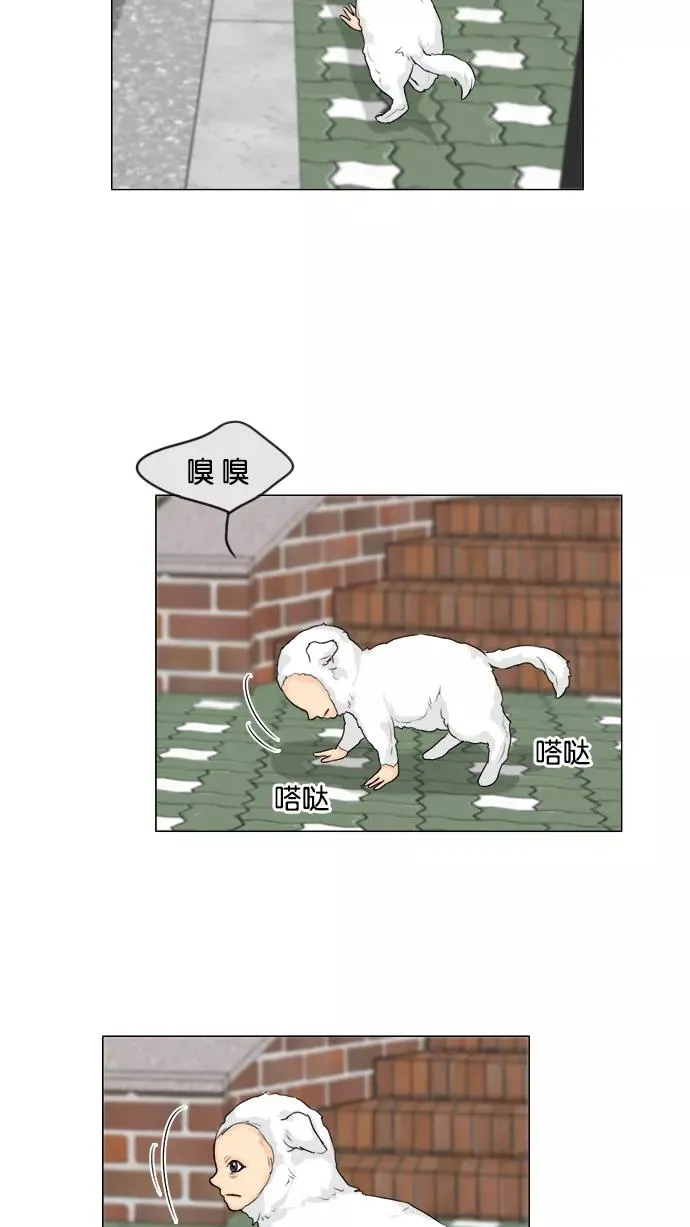 第104话 第20页