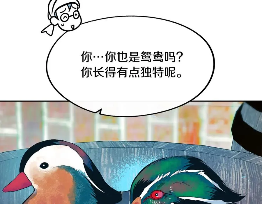 第14话 哥，好久不见 第16页