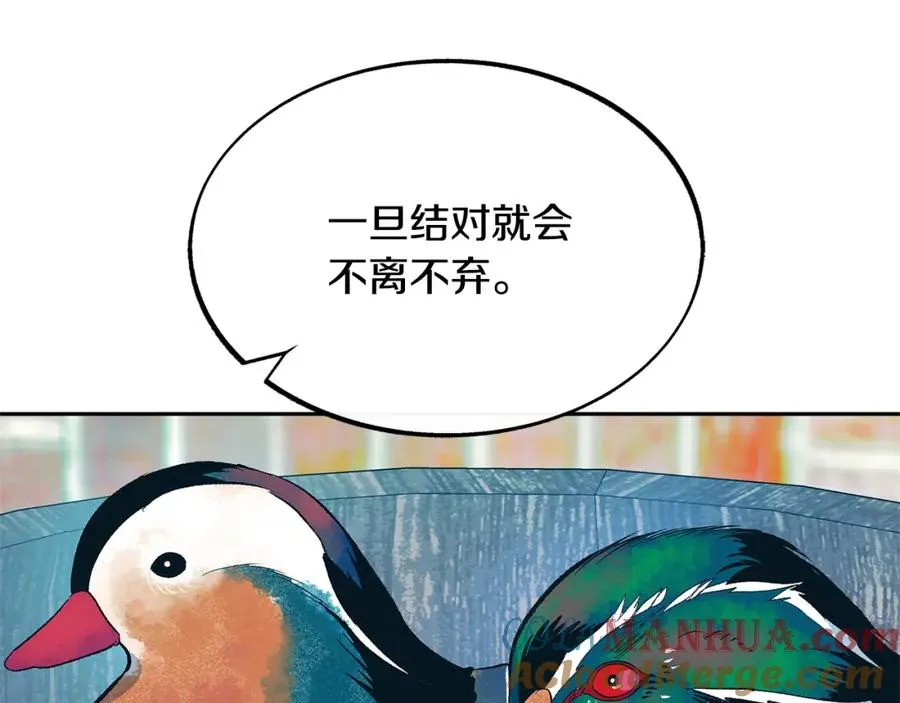 第14话 哥，好久不见 第29页