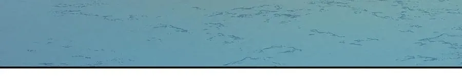 第70话 伤心的草芽 第208页