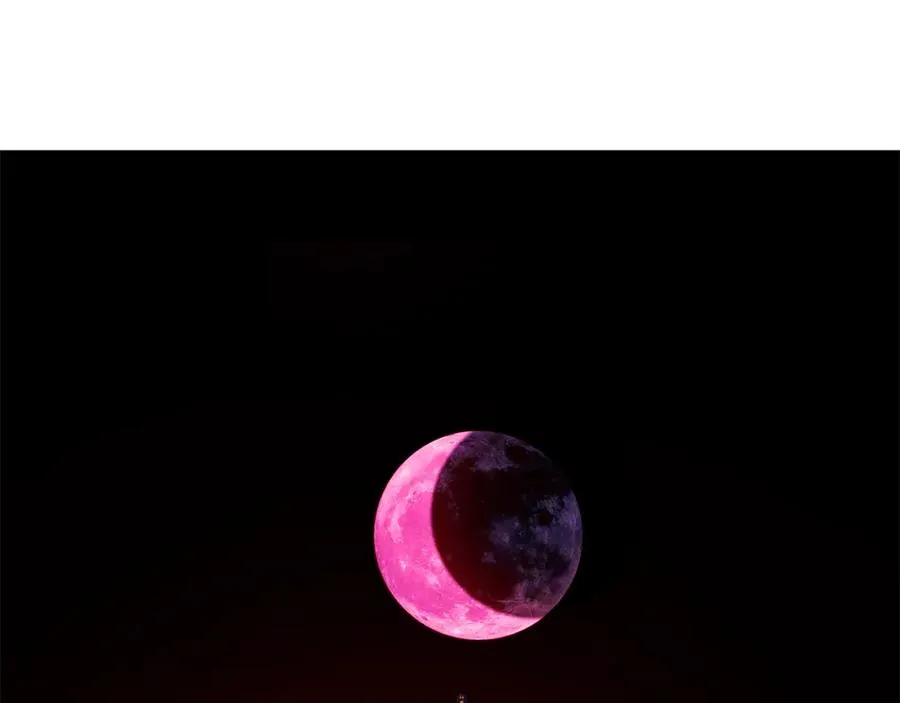 第85话 不要离开我 第168页