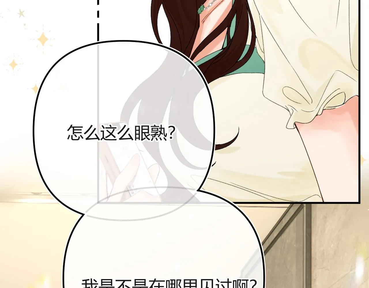 005 何止见过 第17页
