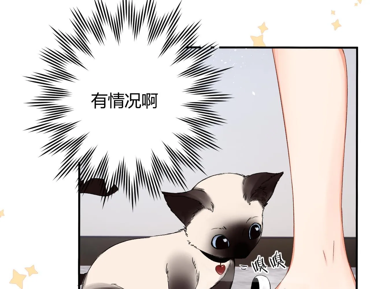005 何止见过 第25页