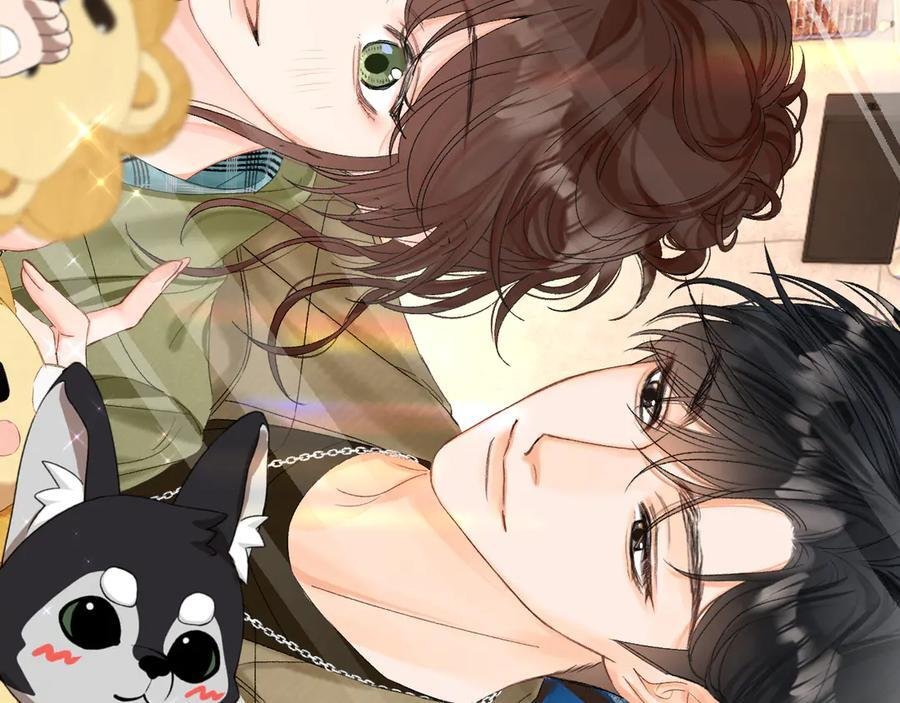 026 都抓 第12页