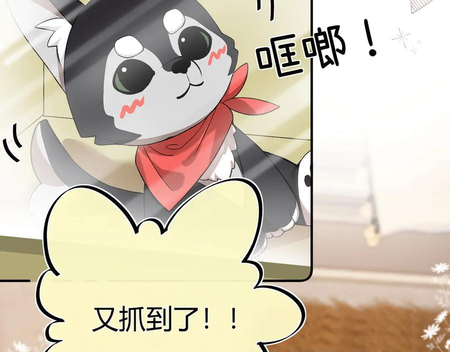 026 都抓 第83页