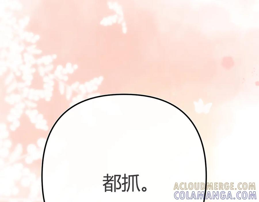 026 都抓 第97页