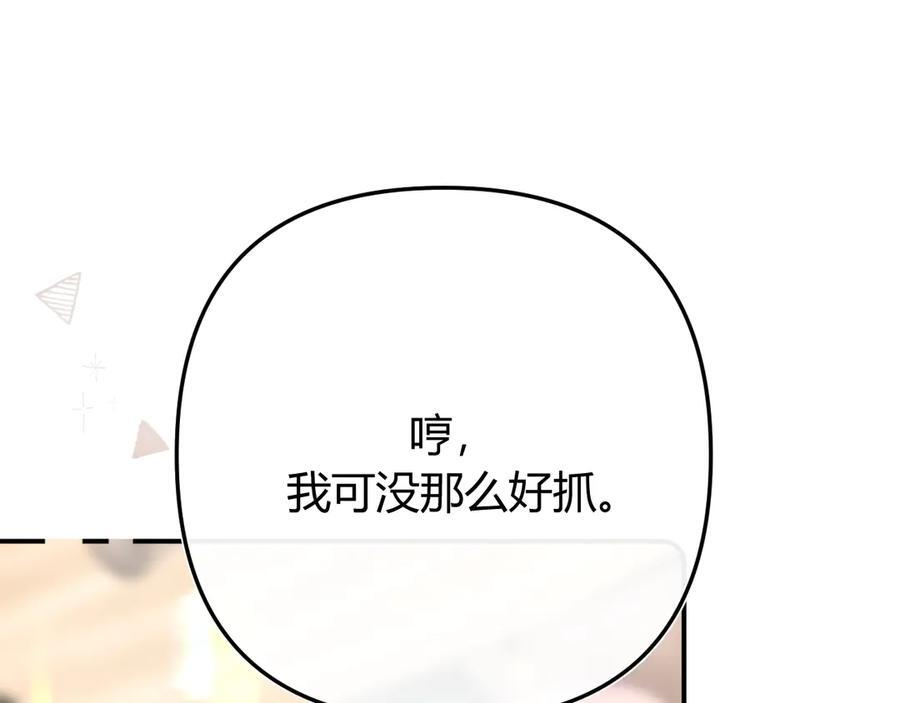 026 都抓 第102页