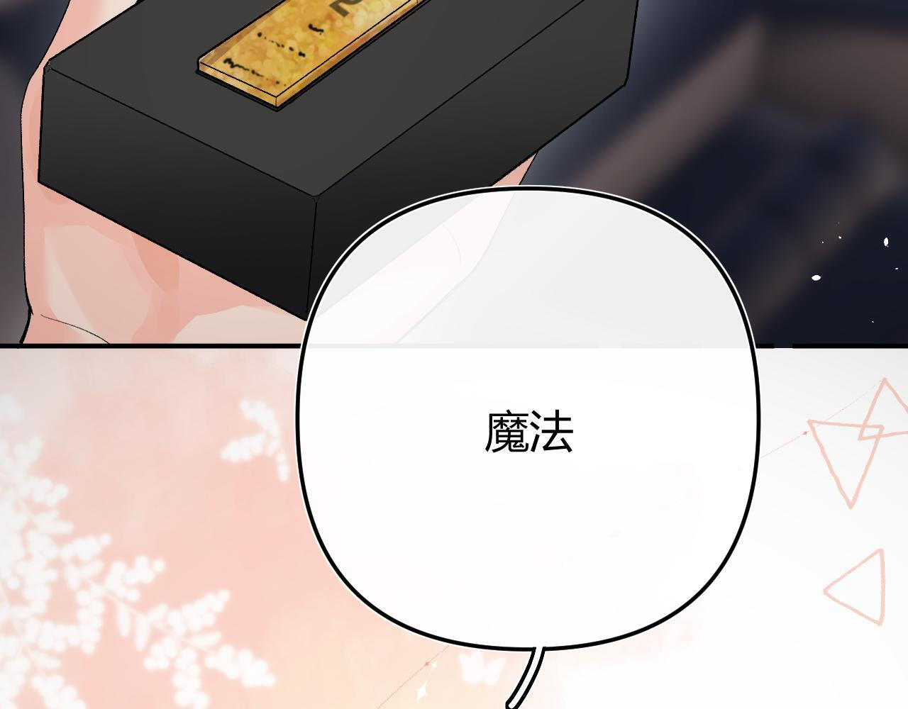 030 魔法仅仙女可见 第62页