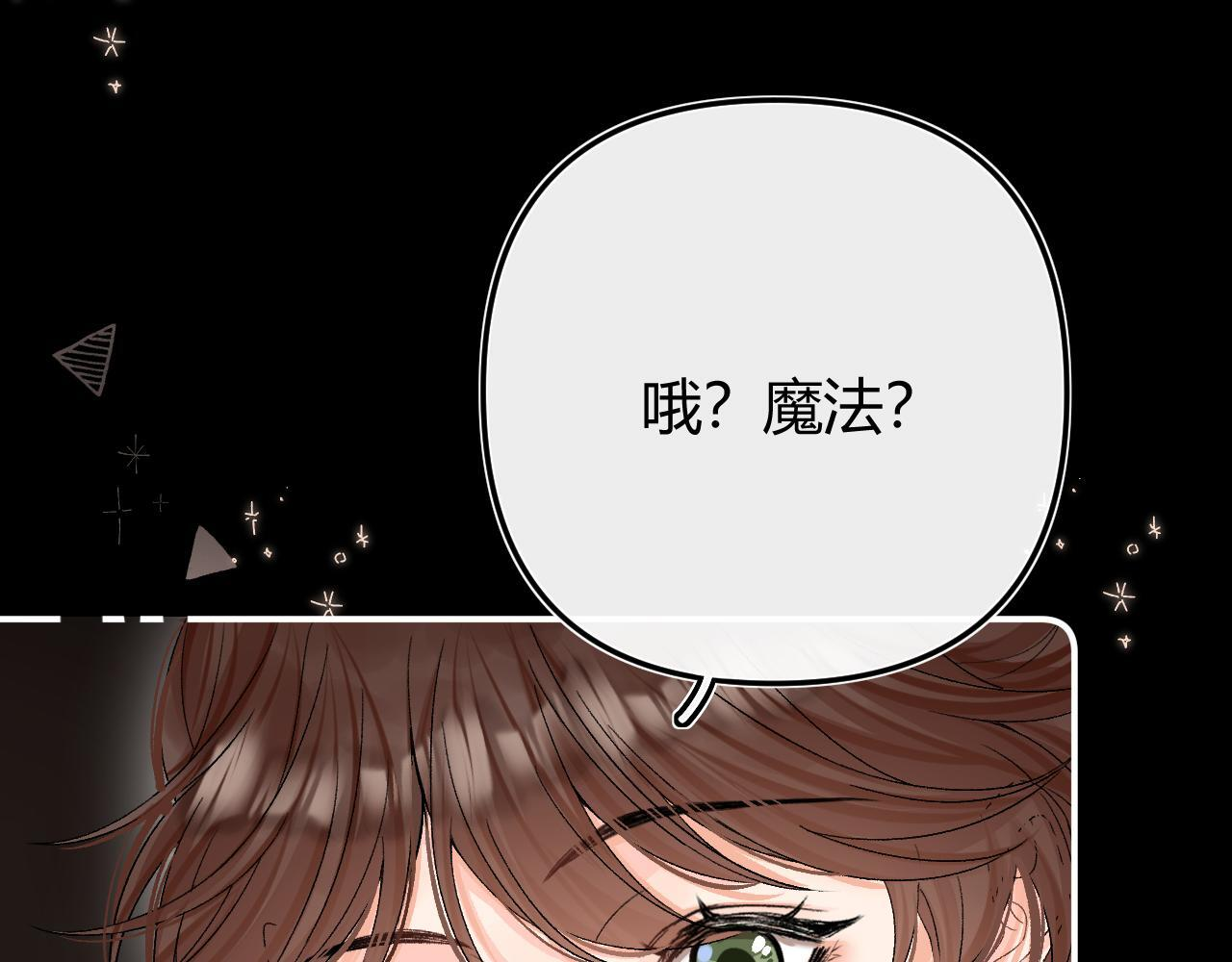 030 魔法仅仙女可见 第67页
