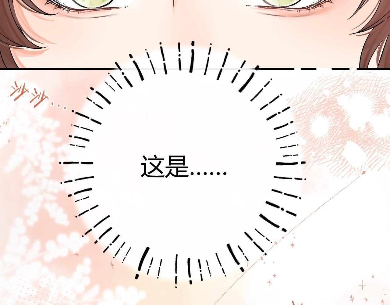 030 魔法仅仙女可见 第91页