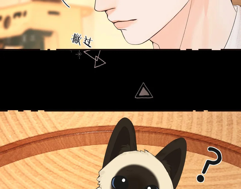042 这里还没擦 第116页