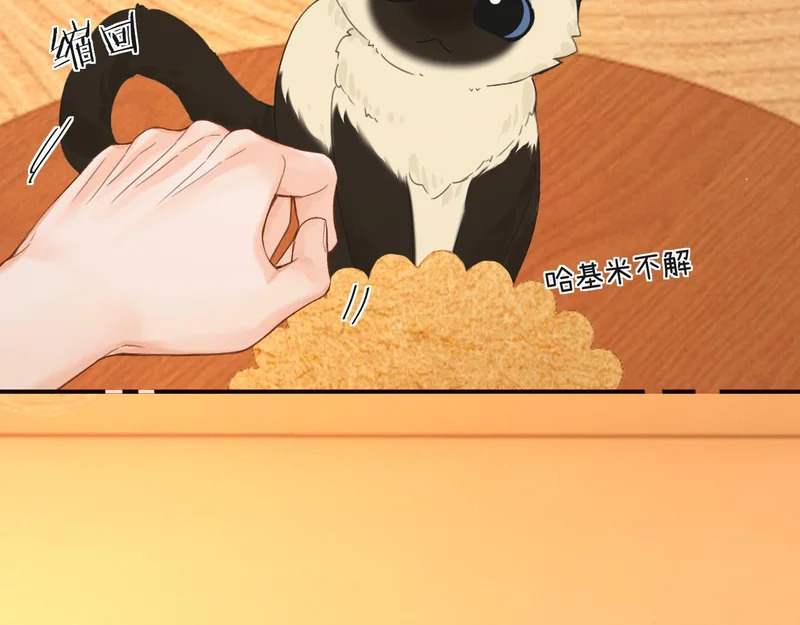 042 这里还没擦 第117页