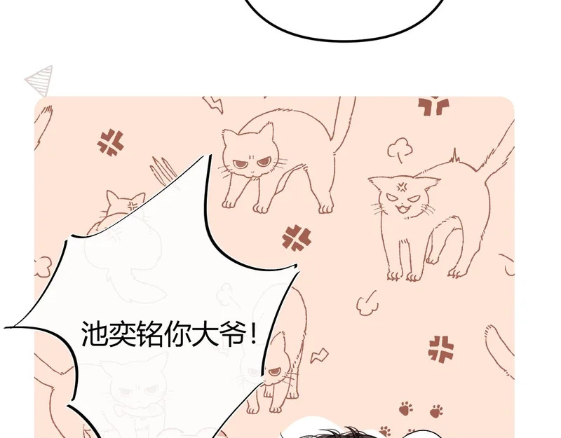 047 请开始你的表演 第63页
