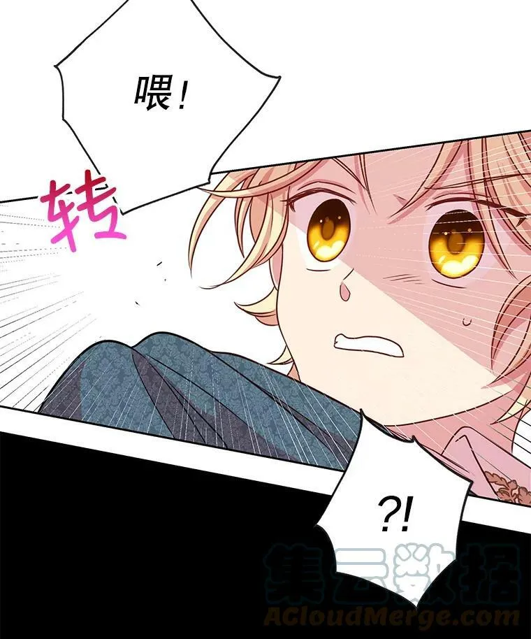 5.无礼的双胞胎 第76页