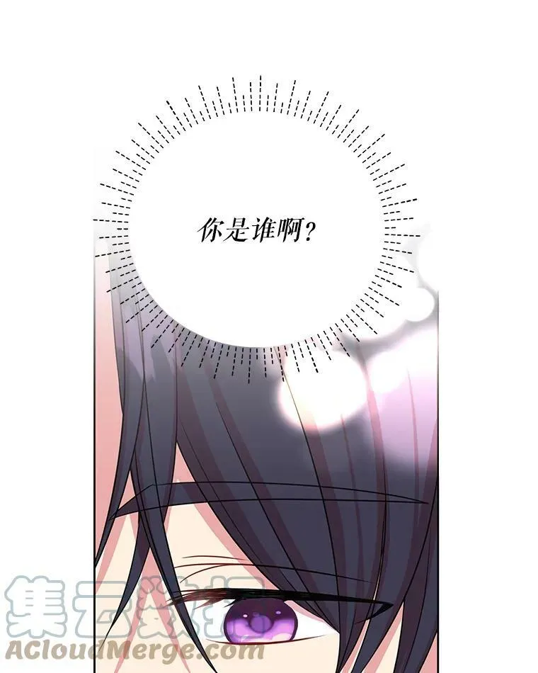 15.与双胞胎重逢 第19页