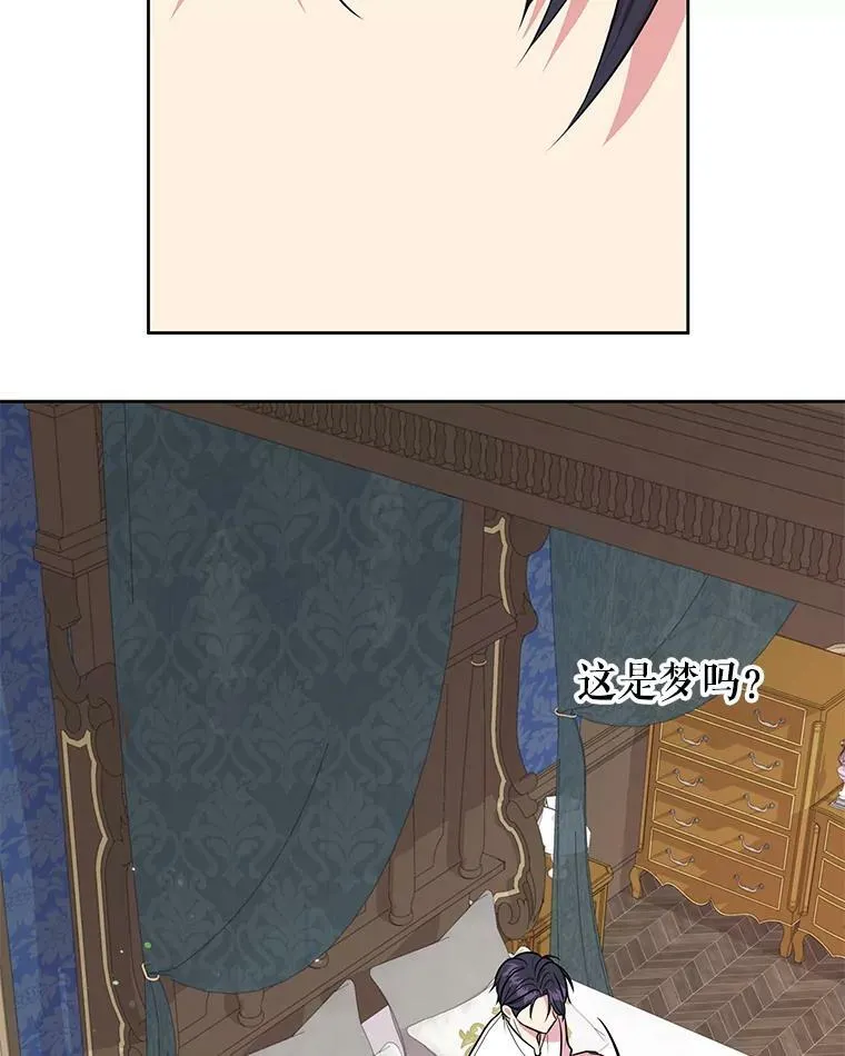 15.与双胞胎重逢 第20页