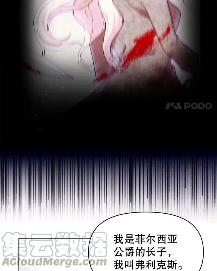 21.行刑人之子 第4页