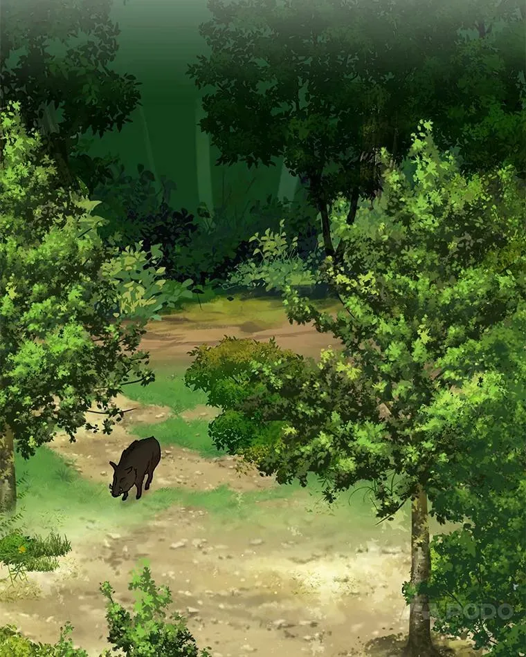 67.抓到野猪啦！ 第51页