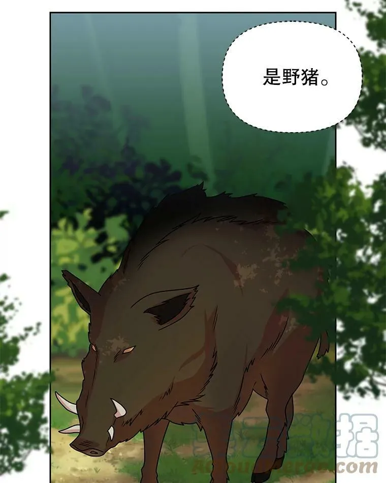 67.抓到野猪啦！ 第53页
