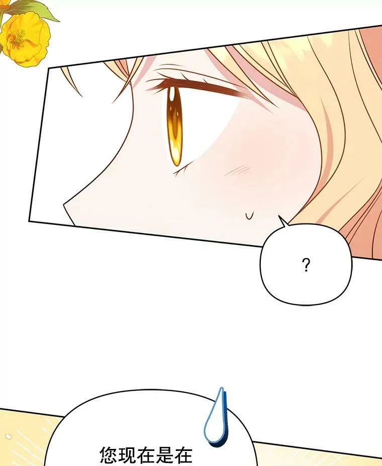 79.特殊技能 第84页
