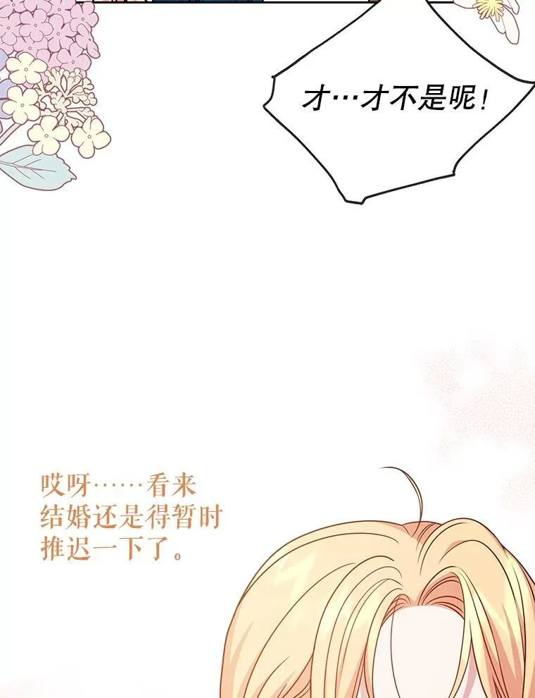 96.结婚推迟 第91页