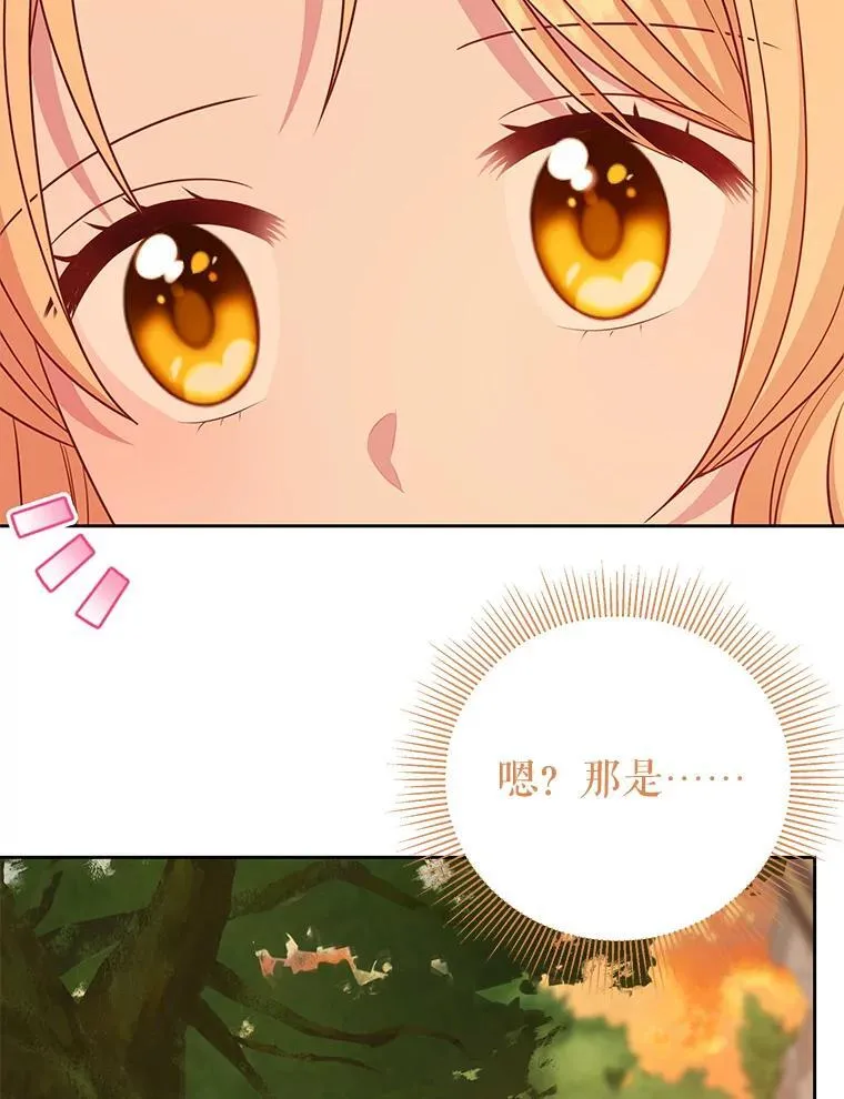 96.结婚推迟 第98页