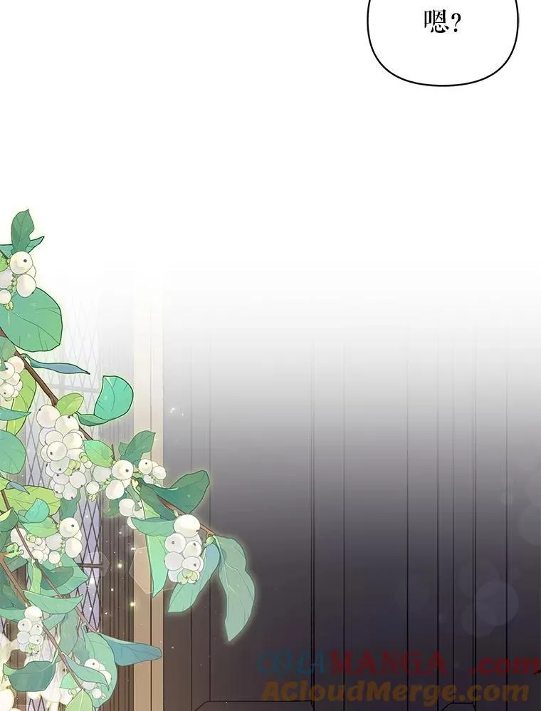 101.德弗里失踪 第16页