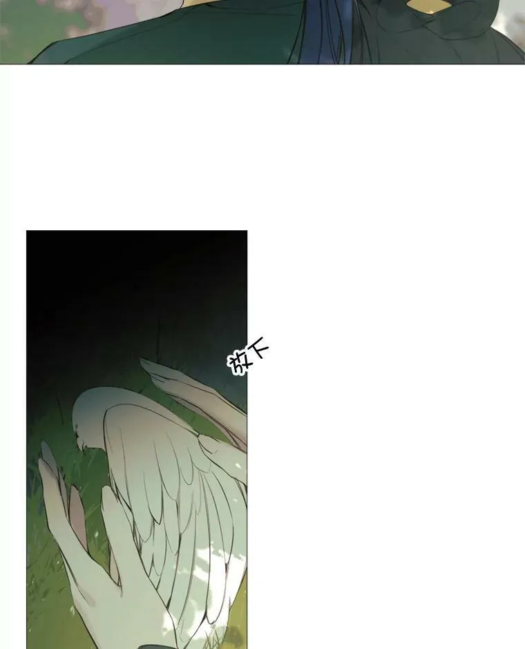 15.阿希·伊尔凯尔 第15页