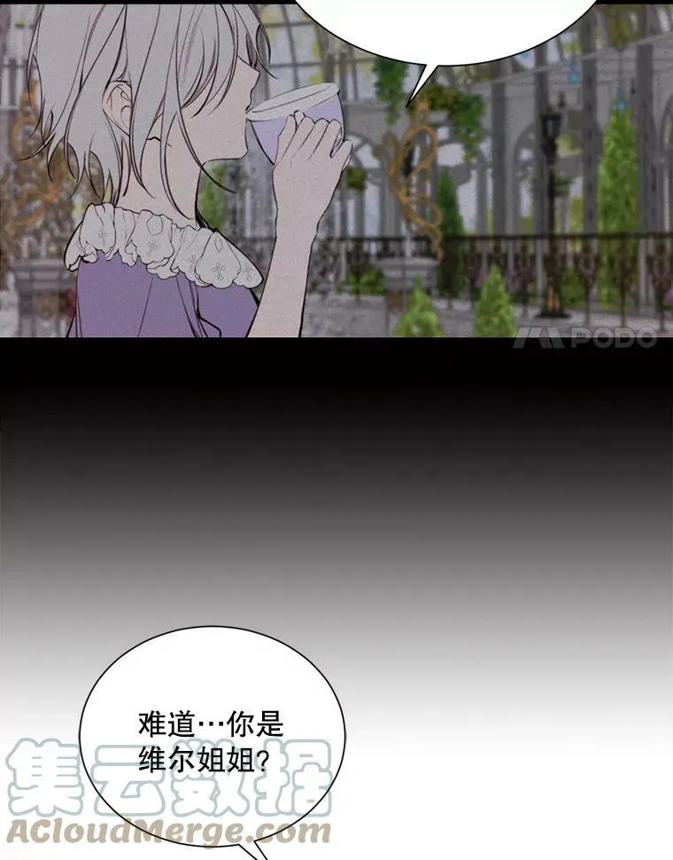 33.维尔姐姐 第55页