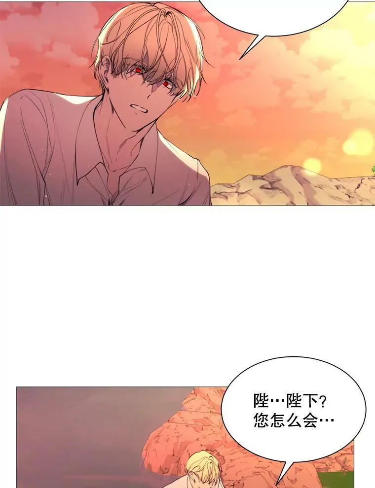 37.树林里的危机 第6页