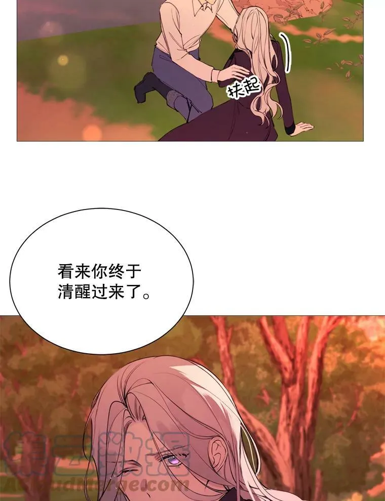 37.树林里的危机 第7页