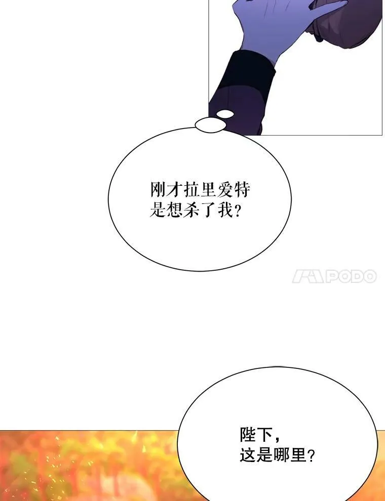 37.树林里的危机 第11页