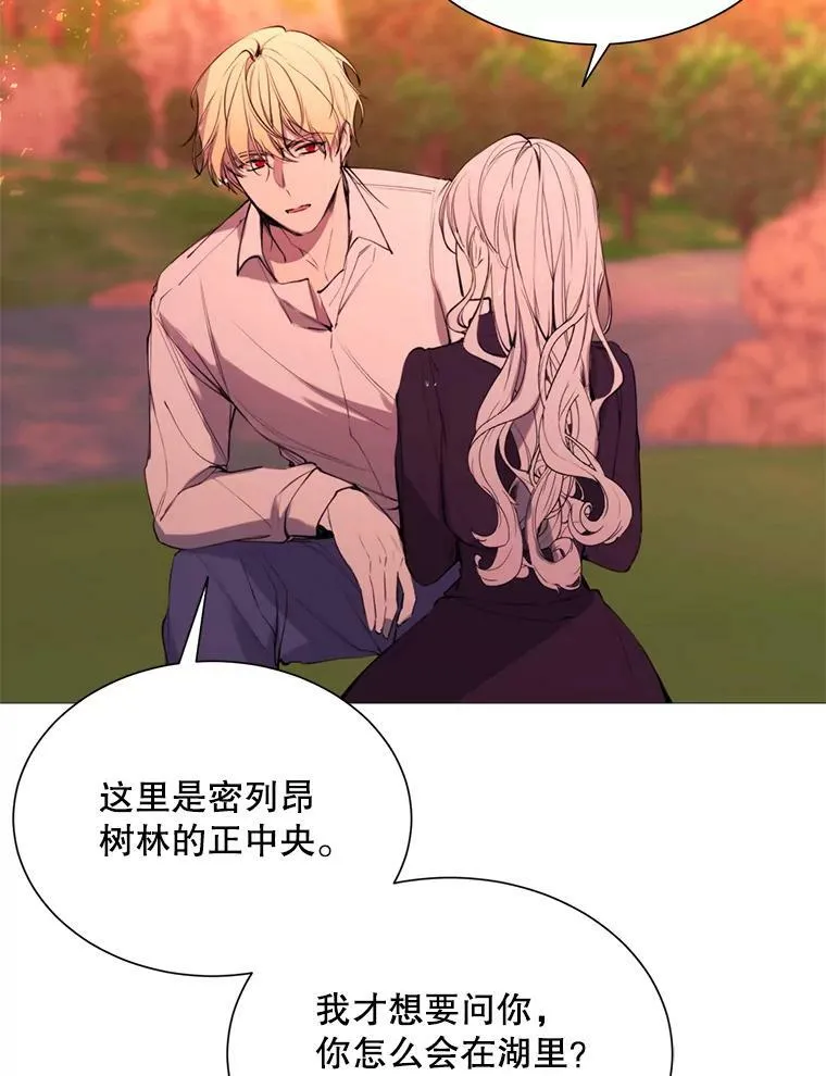 37.树林里的危机 第12页