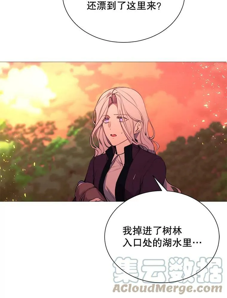 37.树林里的危机 第13页