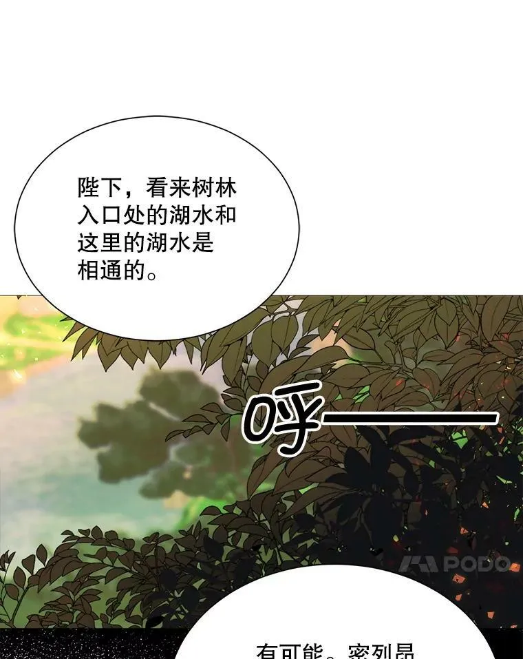 37.树林里的危机 第14页