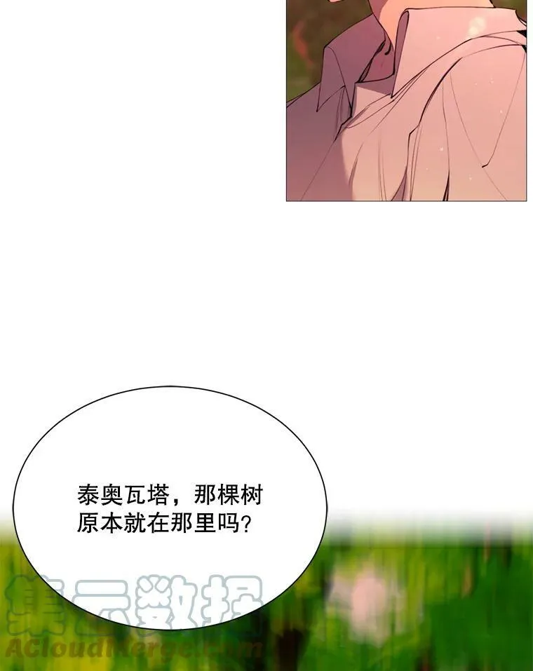 37.树林里的危机 第19页