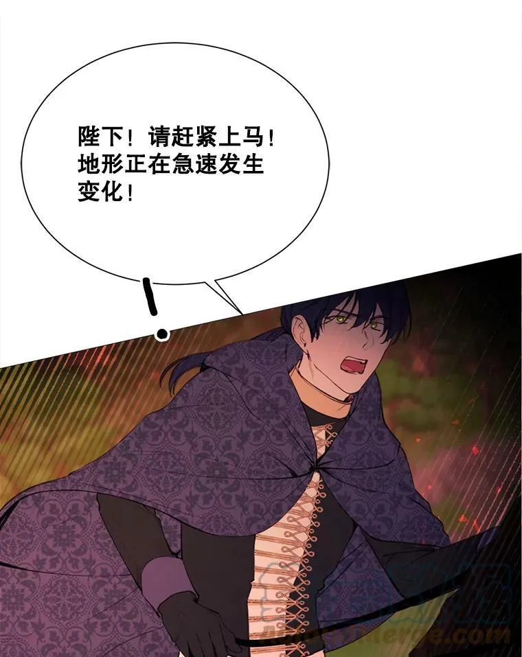 37.树林里的危机 第22页