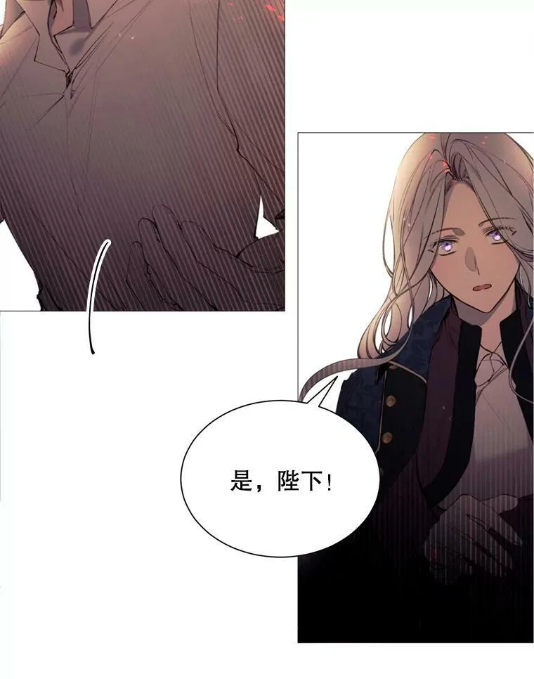 37.树林里的危机 第24页