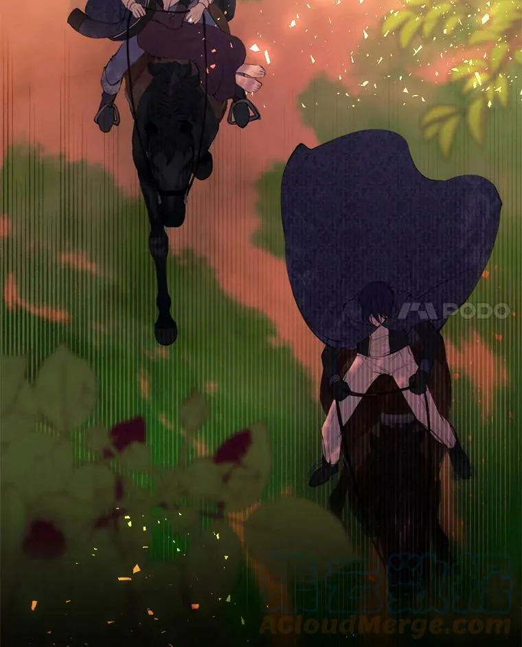 37.树林里的危机 第28页