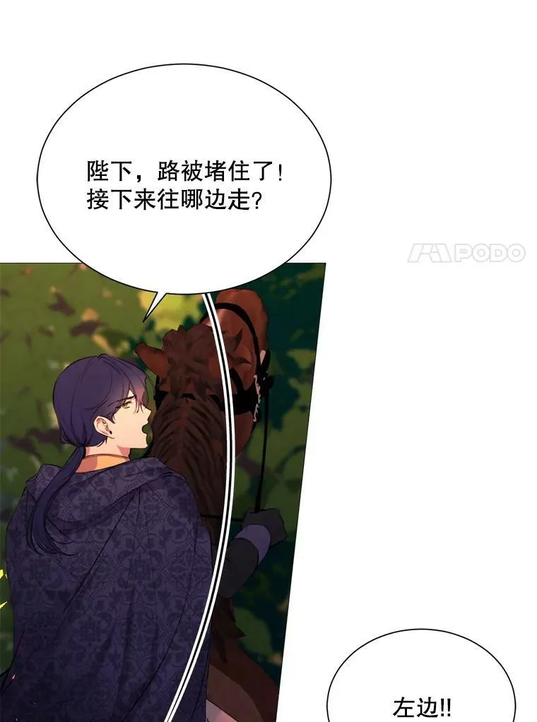 37.树林里的危机 第35页